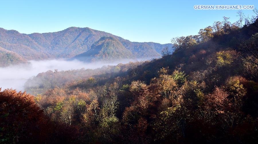 CHINA-HUBEI-DAJIU LAKE-SCENERY (CN)