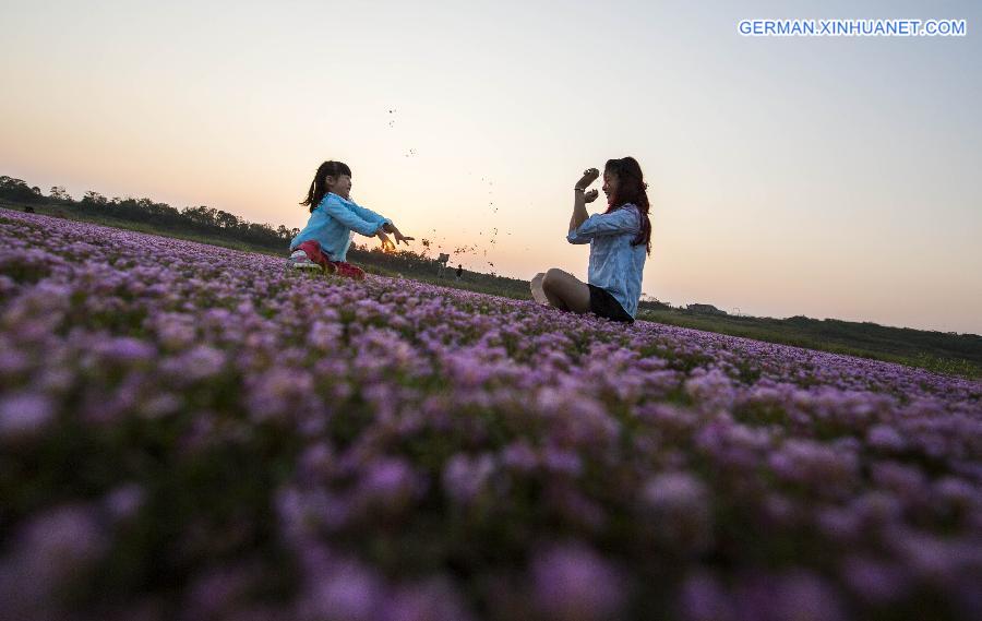 #CHINA-JIANGXI-DUCHANG-SCENERY (CN)