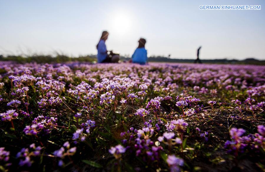 #CHINA-JIANGXI-DUCHANG-SCENERY (CN)