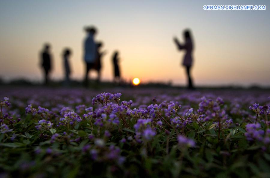 #CHINA-JIANGXI-DUCHANG-SCENERY (CN)