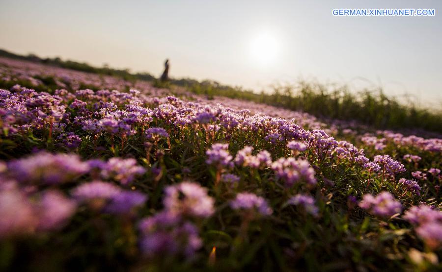 #CHINA-JIANGXI-DUCHANG-SCENERY (CN)