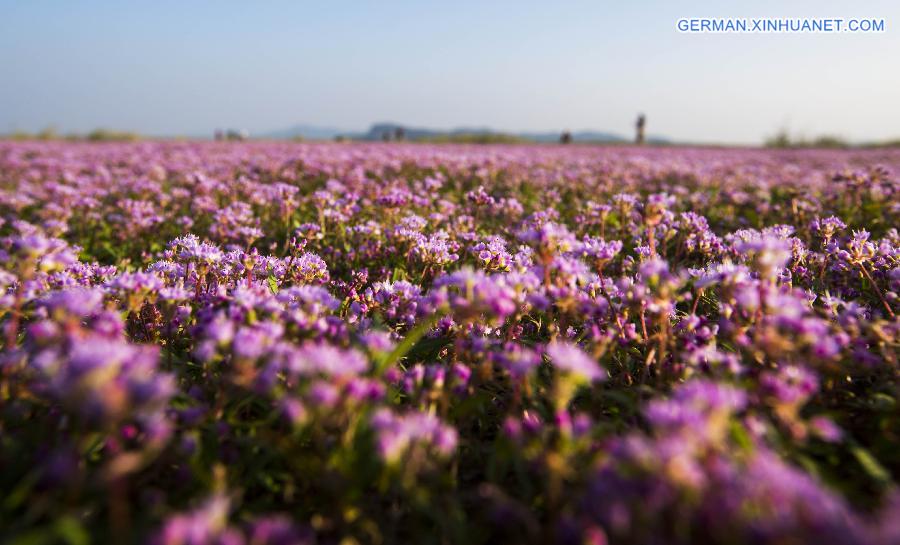 #CHINA-JIANGXI-DUCHANG-SCENERY (CN)