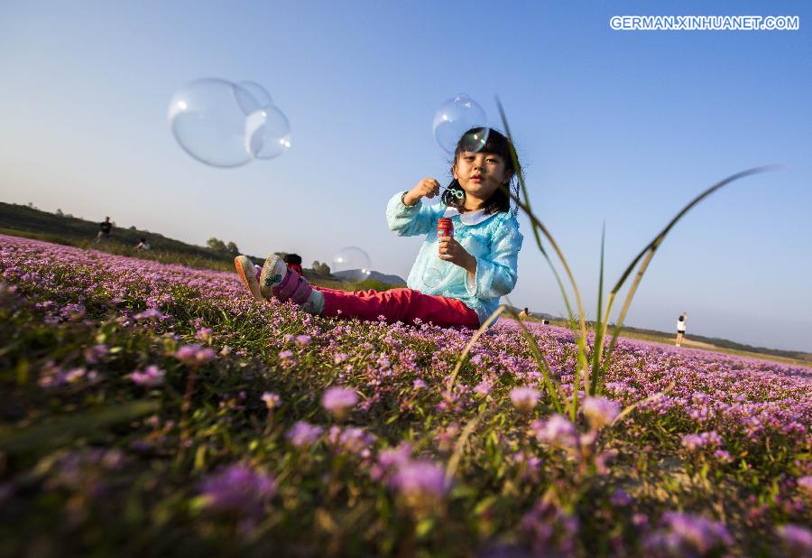 #CHINA-JIANGXI-DUCHANG-SCENERY (CN)