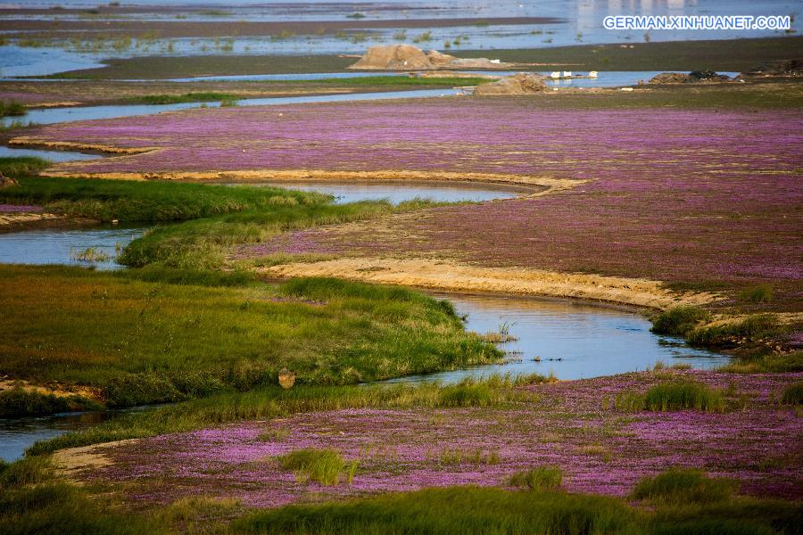 #CHINA-JIANGXI-BLOSSOMS-SCENERY (CN)