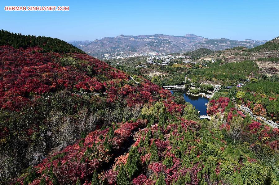 CHINA-SHANDONG-AUTUMN SCENERY (CN)