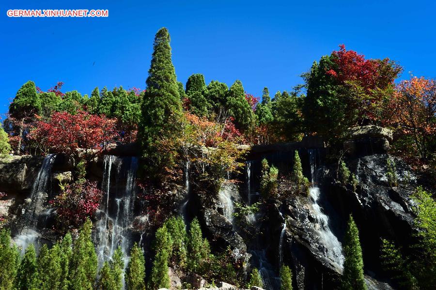 CHINA-SHANDONG-AUTUMN SCENERY (CN)