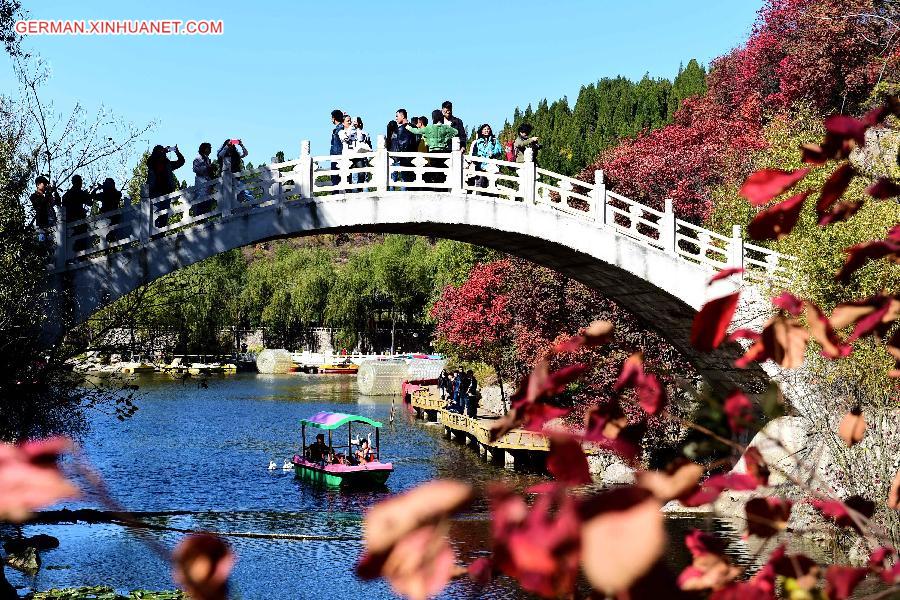 CHINA-SHANDONG-AUTUMN SCENERY (CN)