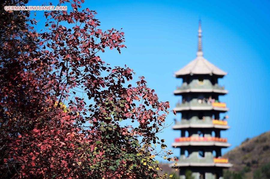 CHINA-SHANDONG-AUTUMN SCENERY (CN)