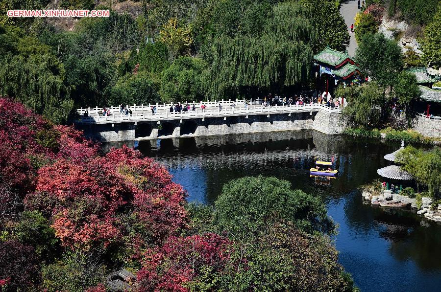 CHINA-SHANDONG-AUTUMN SCENERY (CN)