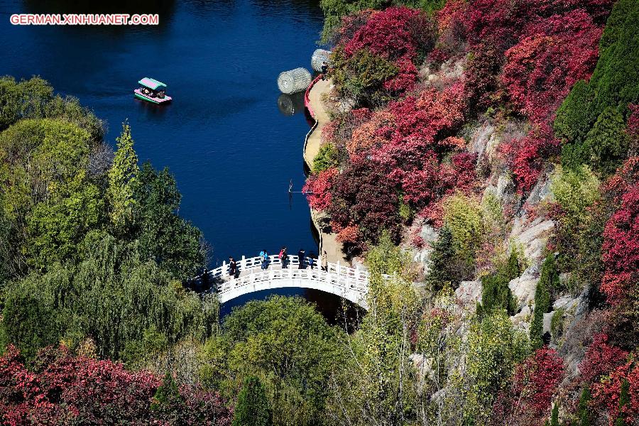 CHINA-SHANDONG-AUTUMN SCENERY (CN)