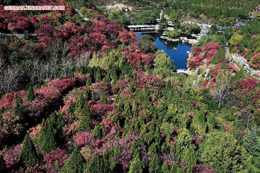 CHINA-SHANDONG-AUTUMN SCENERY (CN)