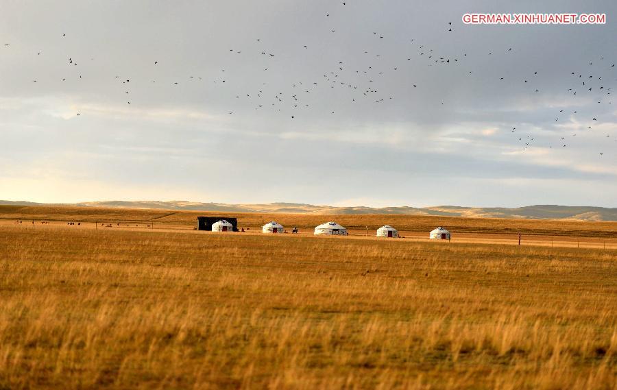 CHINA-INNER MONGOLIA-SCENERY (CN)