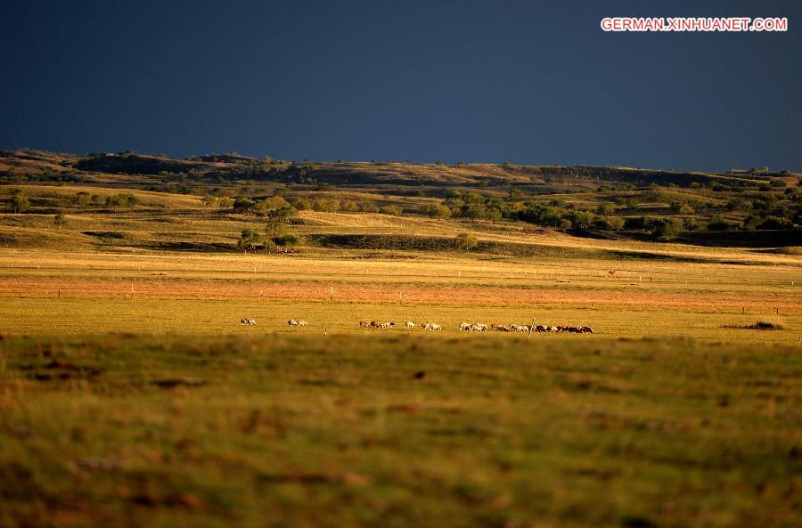 CHINA-INNER MONGOLIA-SCENERY (CN)