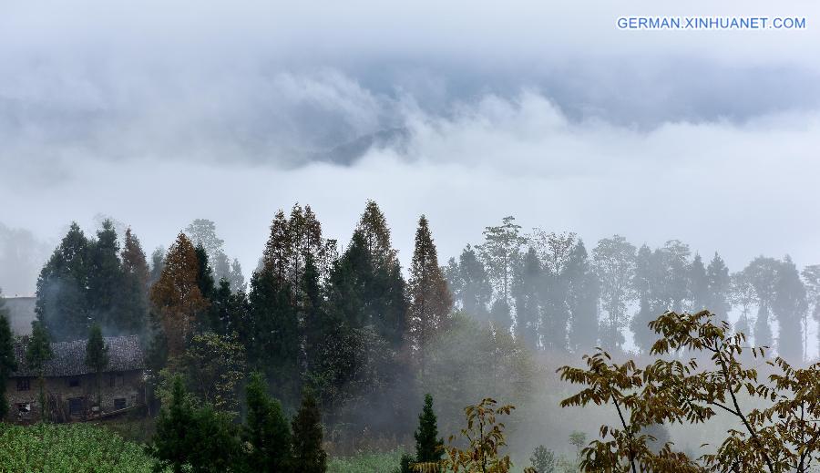 CHINA-HUBEI-GRAND CANYON-SCENERY (CN) 