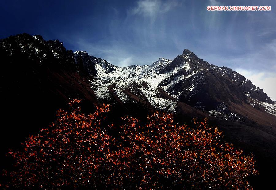 CHINA-SICHUAN-GLACIER FOREST PARK (CN)