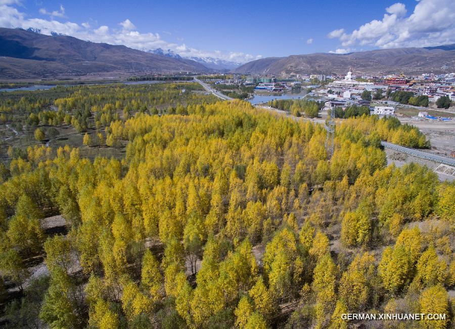 CHINA-SICHUAN-WETLAND (CN)