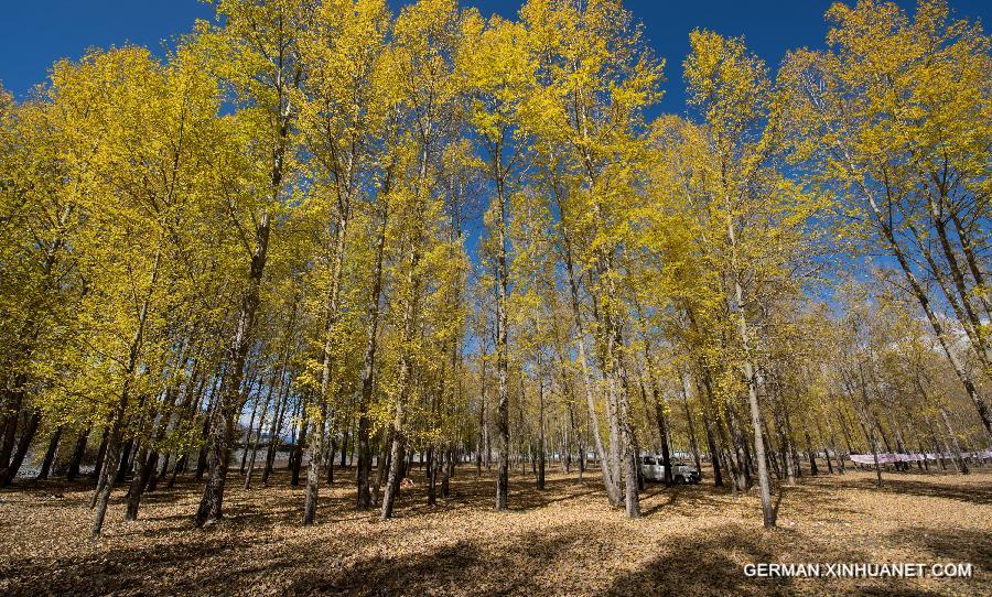 CHINA-SICHUAN-WETLAND (CN)