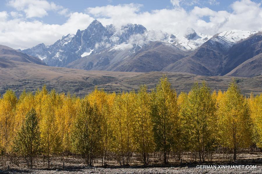 CHINA-SICHUAN-WETLAND (CN)