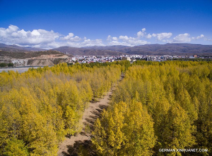 CHINA-SICHUAN-WETLAND (CN)