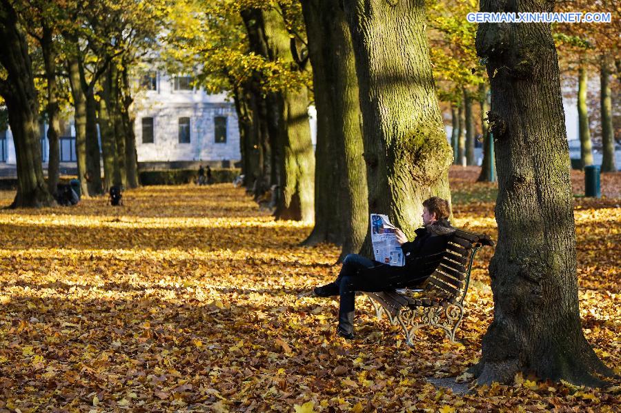 BELGIUM-BRUSSELS-AUTUMN-LANDSCAPE