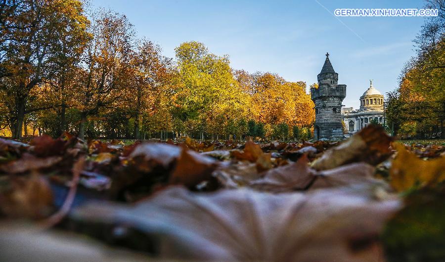 BELGIUM-BRUSSELS-AUTUMN-LANDSCAPE