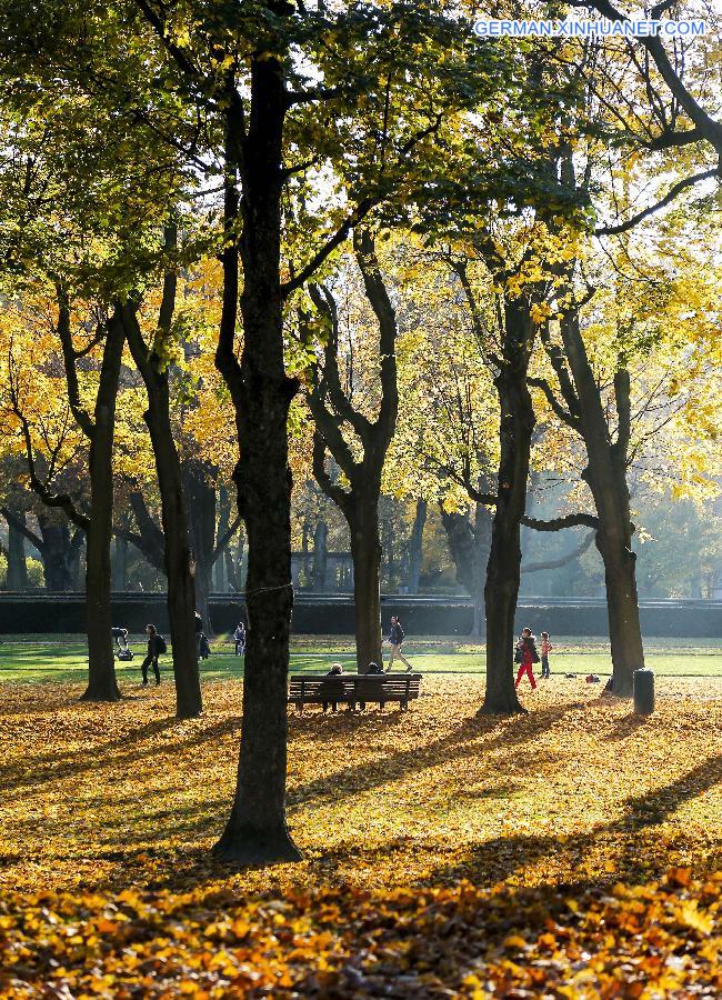 BELGIUM-BRUSSELS-AUTUMN-LANDSCAPE