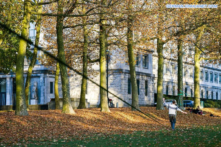 BELGIUM-BRUSSELS-AUTUMN-LANDSCAPE