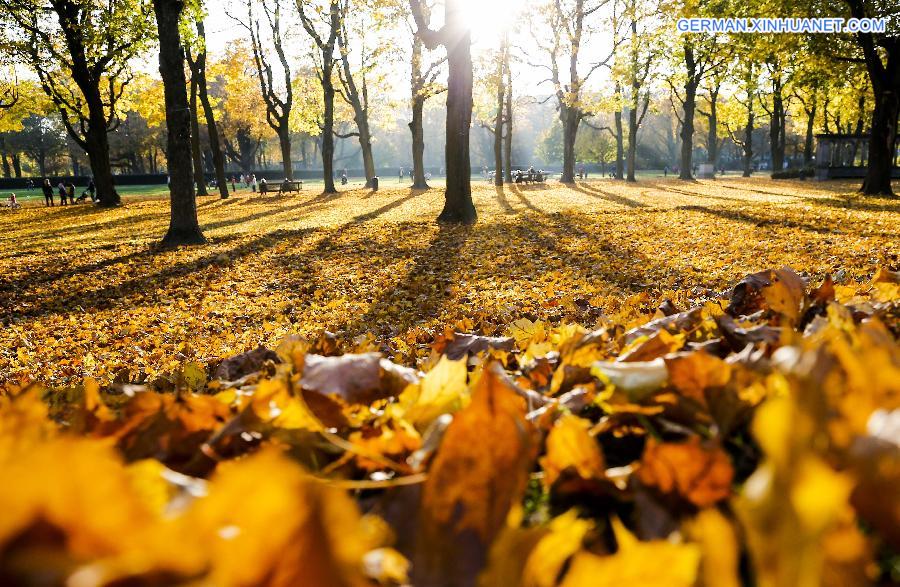 BELGIUM-BRUSSELS-AUTUMN-LANDSCAPE