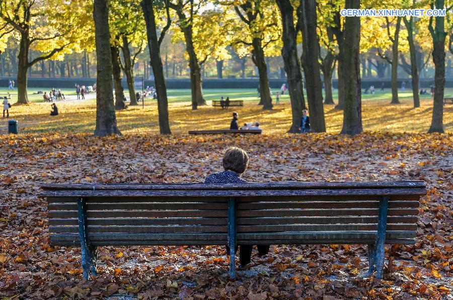 BELGIUM-BRUSSELS-AUTUMN-LANDSCAPE