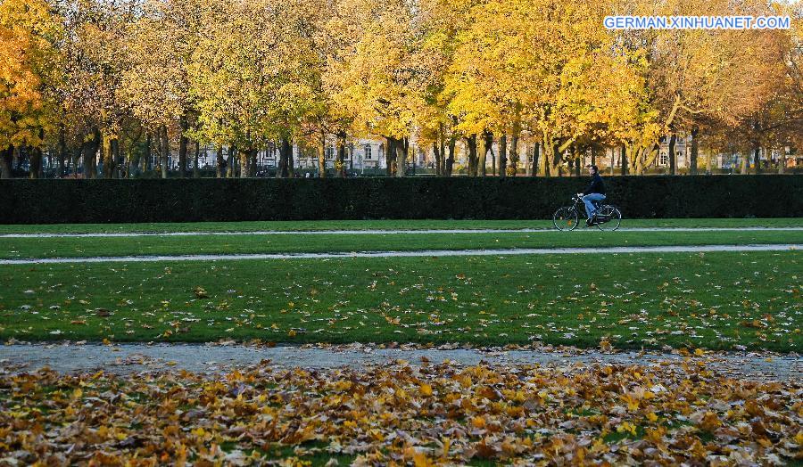 BELGIUM-BRUSSELS-AUTUMN-LANDSCAPE