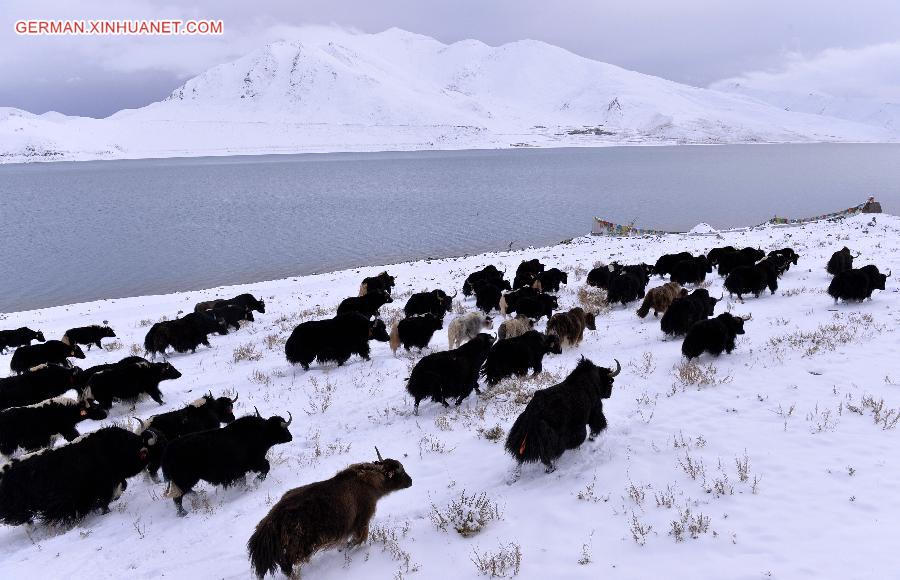 CHINA-TIBET-YAMDROK LAKE-SCENERY(CN) 