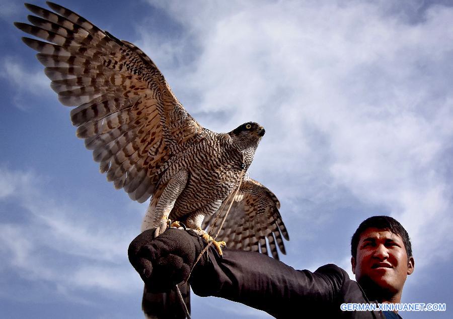 CHINA-XINJIANG-BACHU-CULTURE-TOURISM (CN)