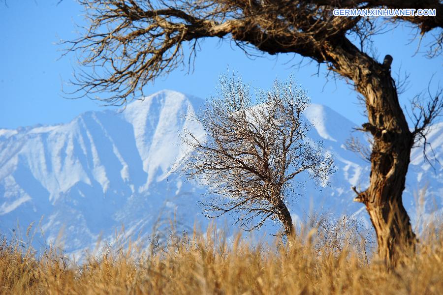 #CHINA-XINJIANG-HAMI-WINTER SCENERY (CN)