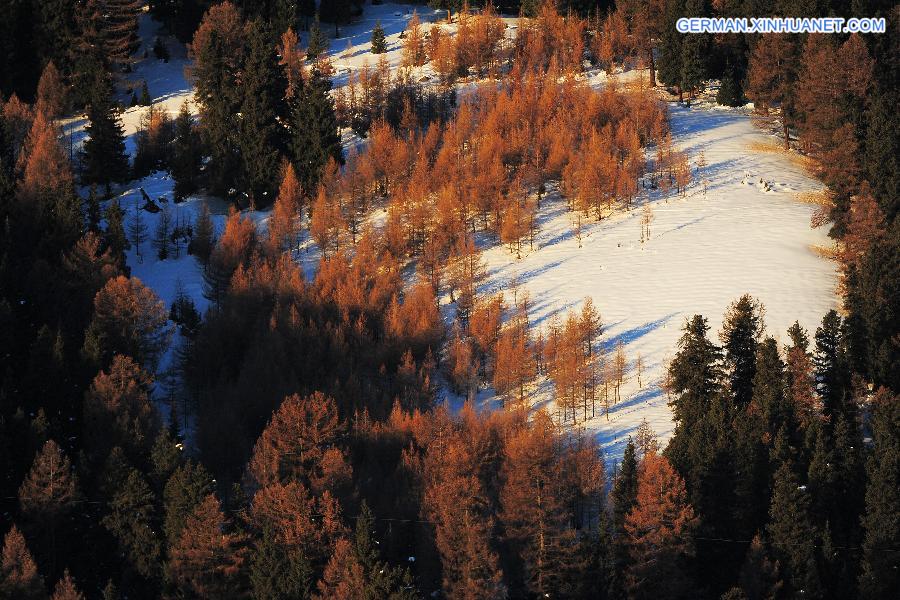 #CHINA-XINJIANG-HAMI-WINTER SCENERY (CN)