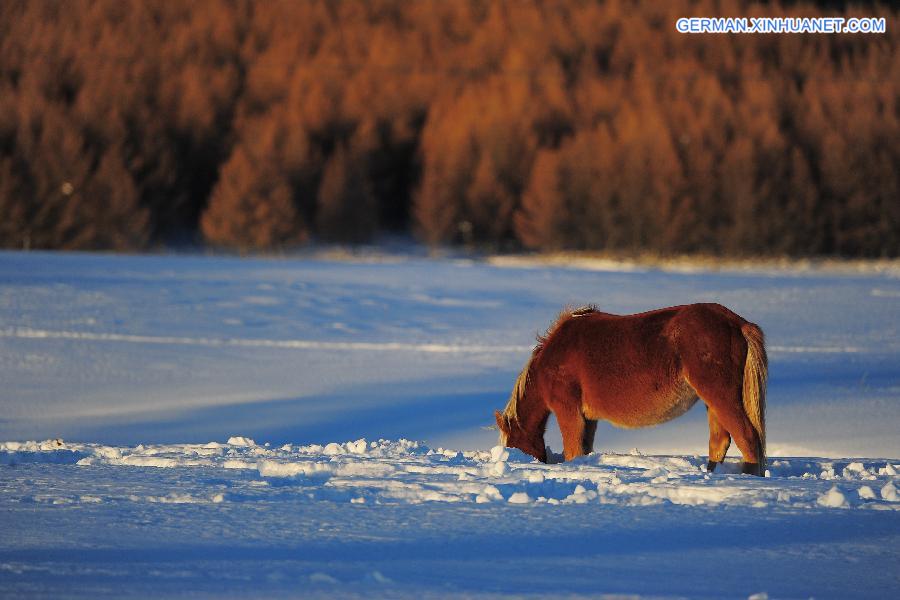 #CHINA-XINJIANG-HAMI-WINTER SCENERY (CN)