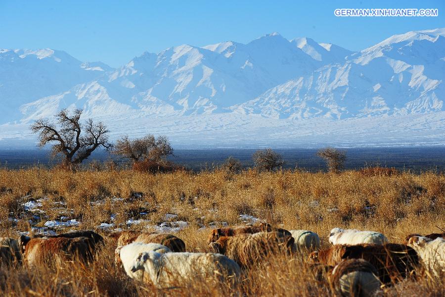 #CHINA-XINJIANG-HAMI-WINTER SCENERY (CN)