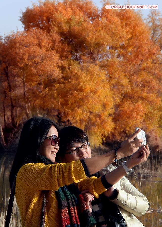 CHINA-XINJIANG-POPLAR-SCENERY (CN)