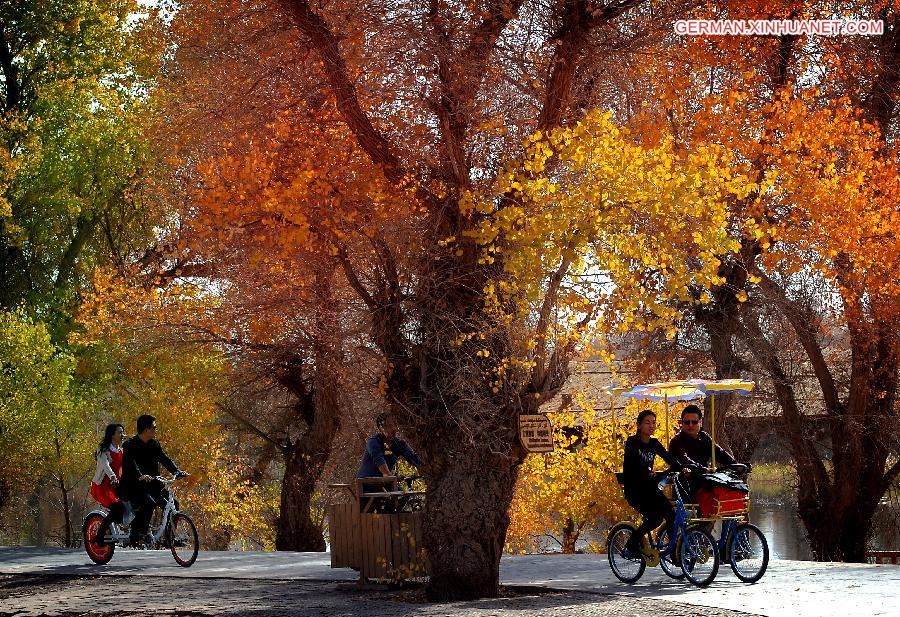 CHINA-XINJIANG-POPLAR-SCENERY (CN)