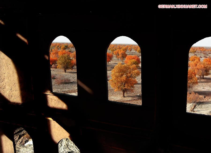 CHINA-XINJIANG-POPLAR-SCENERY (CN)