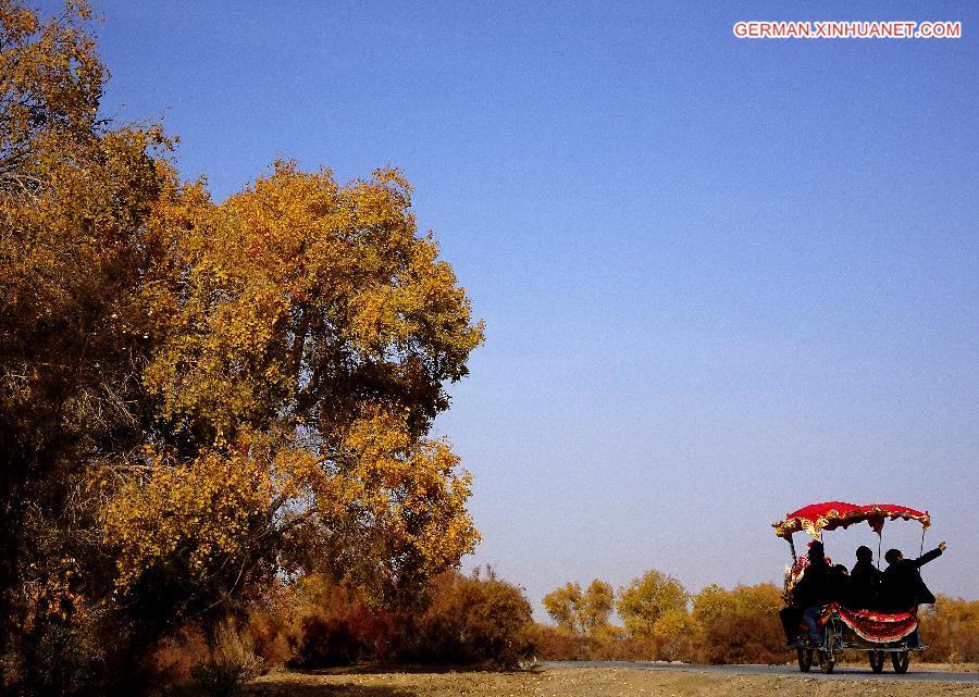 CHINA-XINJIANG-POPLAR-SCENERY (CN)