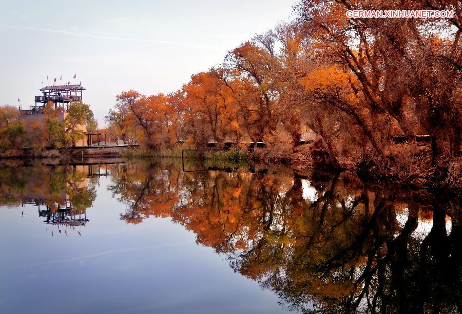 CHINA-XINJIANG-POPLAR-SCENERY (CN)