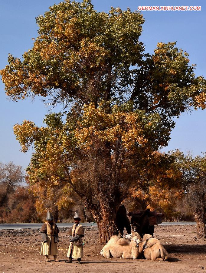 CHINA-XINJIANG-POPLAR-SCENERY (CN)