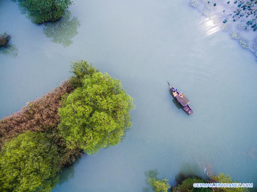 CHINA-HANGZHOU-XIXI WETLAND-SCENERY (CN)