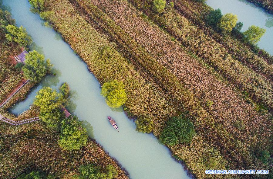 CHINA-HANGZHOU-XIXI WETLAND-SCENERY (CN)