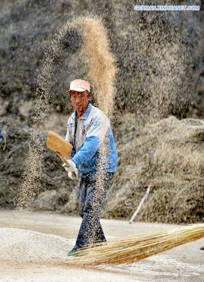 CHINA-INNER MONGOLIA-LATE-MATURING CROPS-HARVEST (CN)