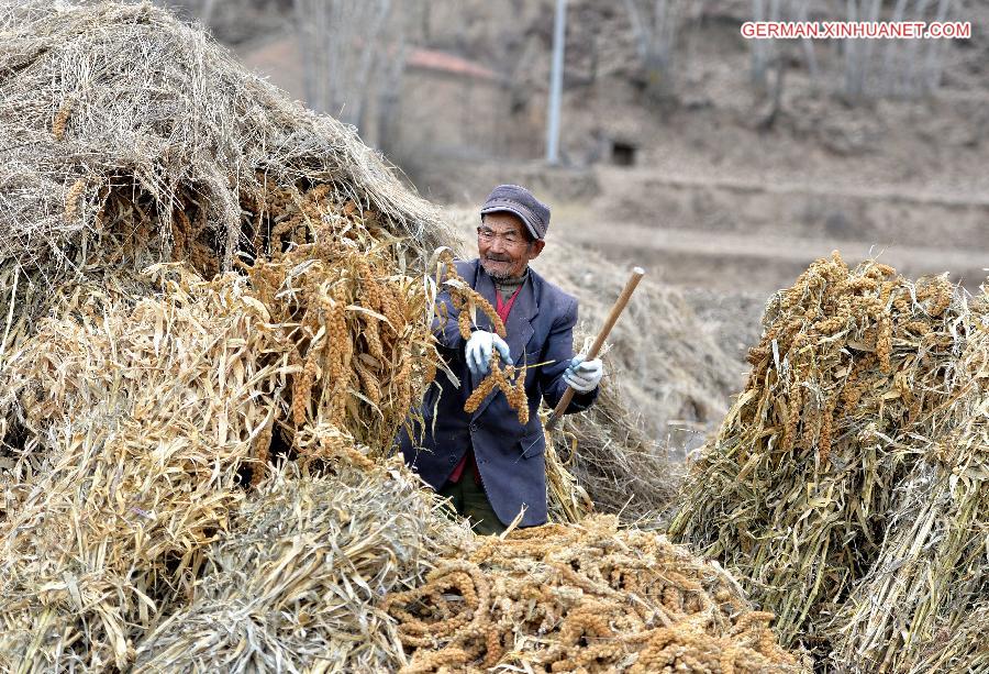 CHINA-INNER MONGOLIA-LATE-MATURING CROPS-HARVEST (CN)