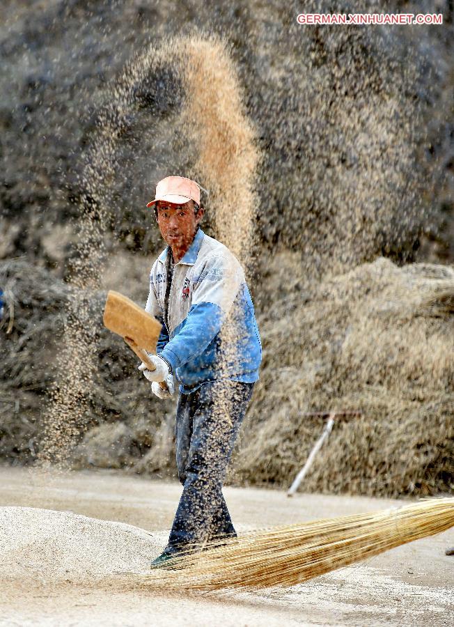 CHINA-INNER MONGOLIA-LATE-MATURING CROPS-HARVEST (CN)