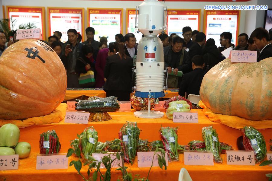 CHINA-SHAANXI-YANGLING-AGRICULTURAL HI-TECH FAIR (CN)