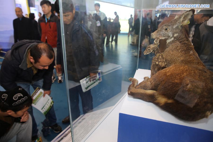 CHINA-SHAANXI-YANGLING-AGRICULTURAL HI-TECH FAIR (CN)