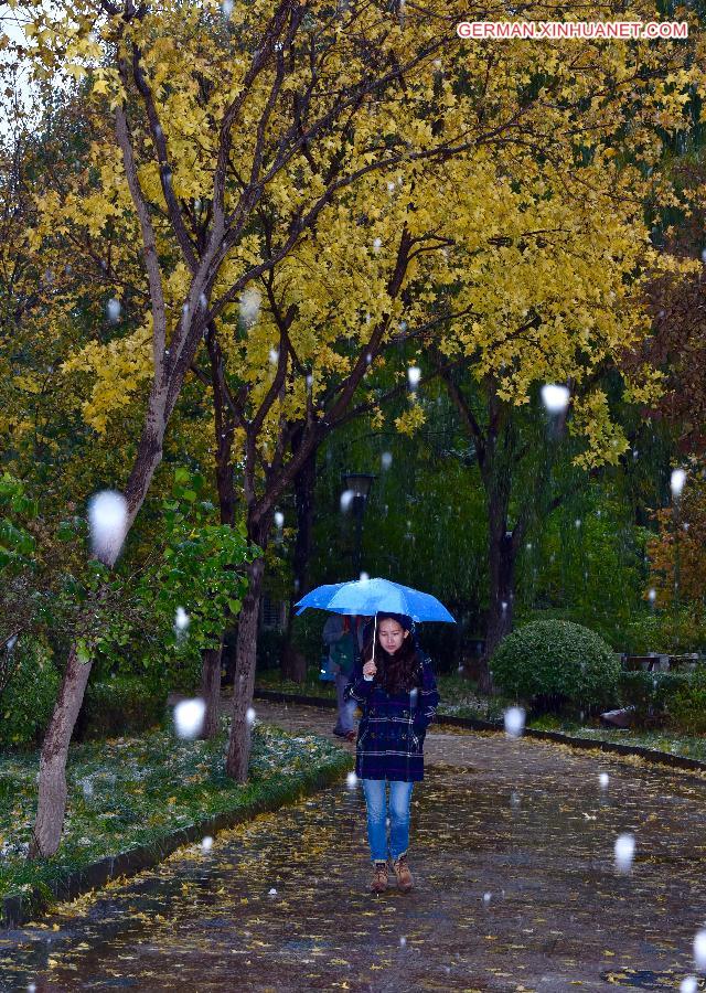 CHINA-BEIJING-SNOWFALL (CN)